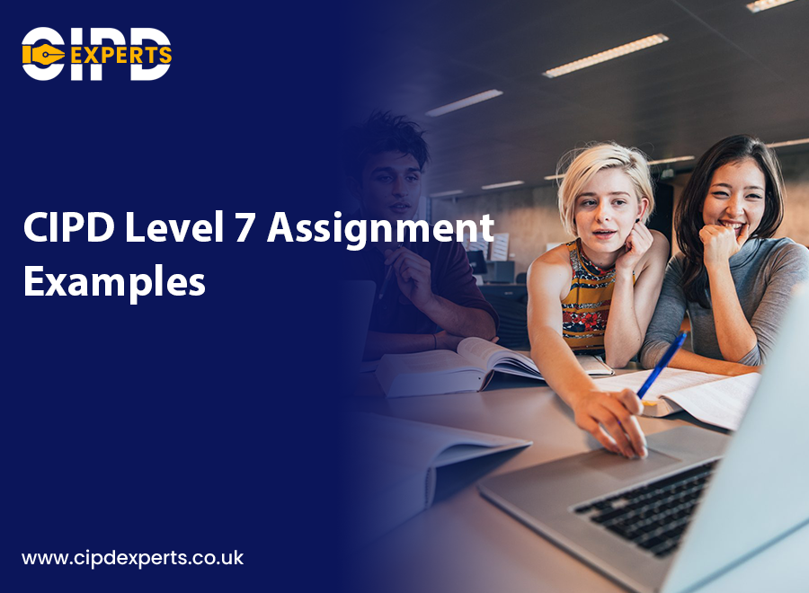 level 7 assignment examples